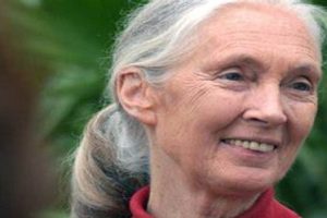 Jane Goodall